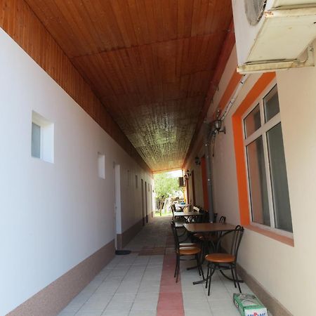 Pensiunea Cetina Brad  Bagian luar foto