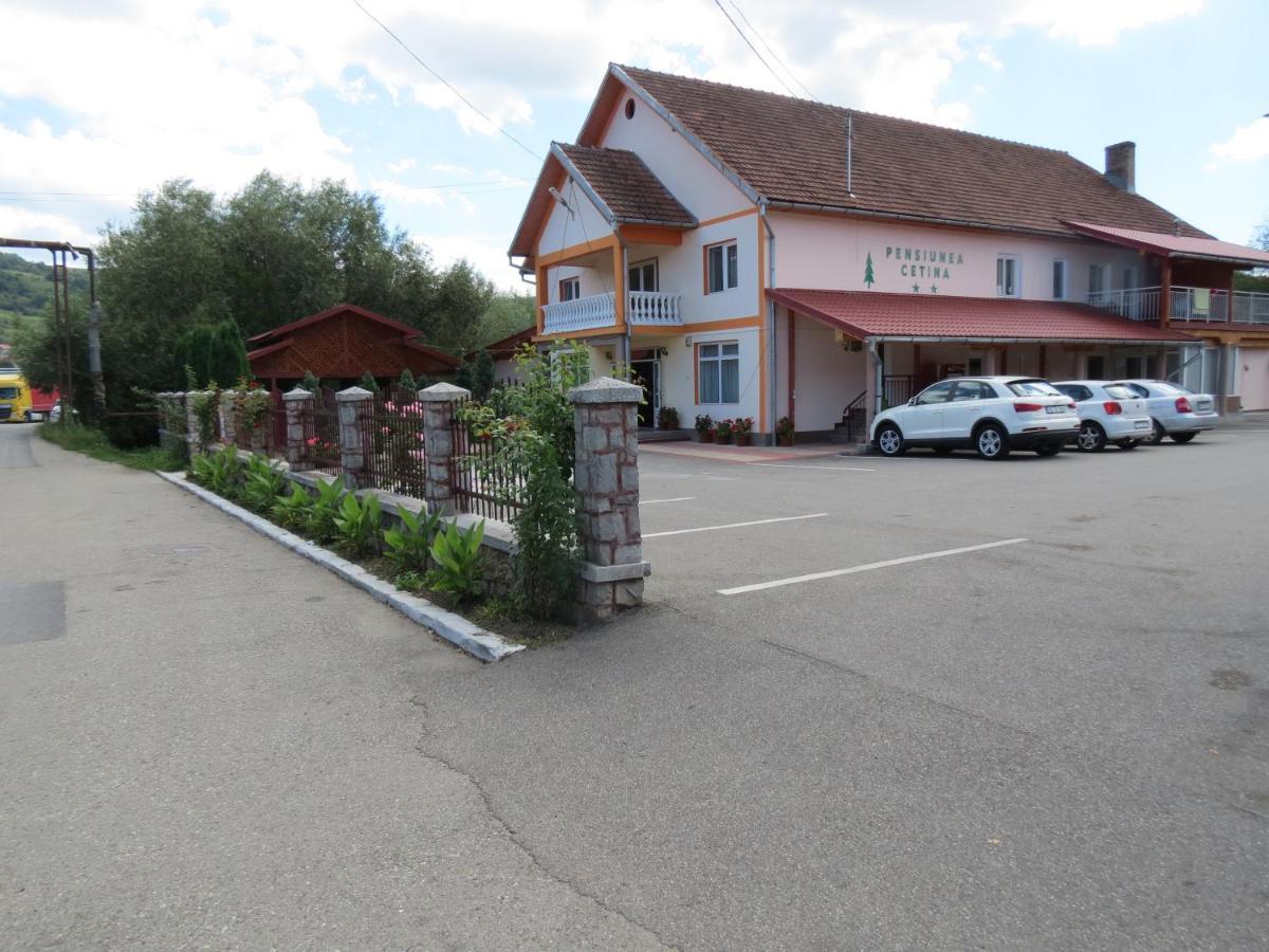 Pensiunea Cetina Brad  Bagian luar foto