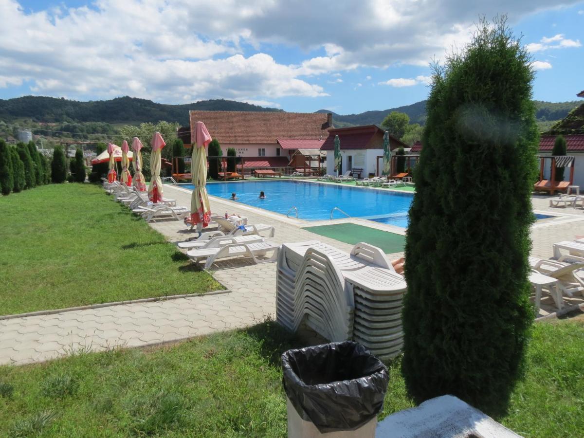 Pensiunea Cetina Brad  Bagian luar foto