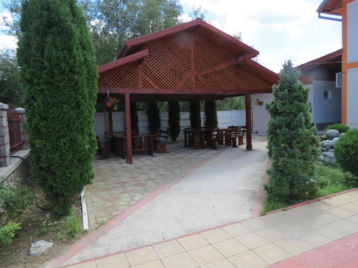 Pensiunea Cetina Brad  Bagian luar foto