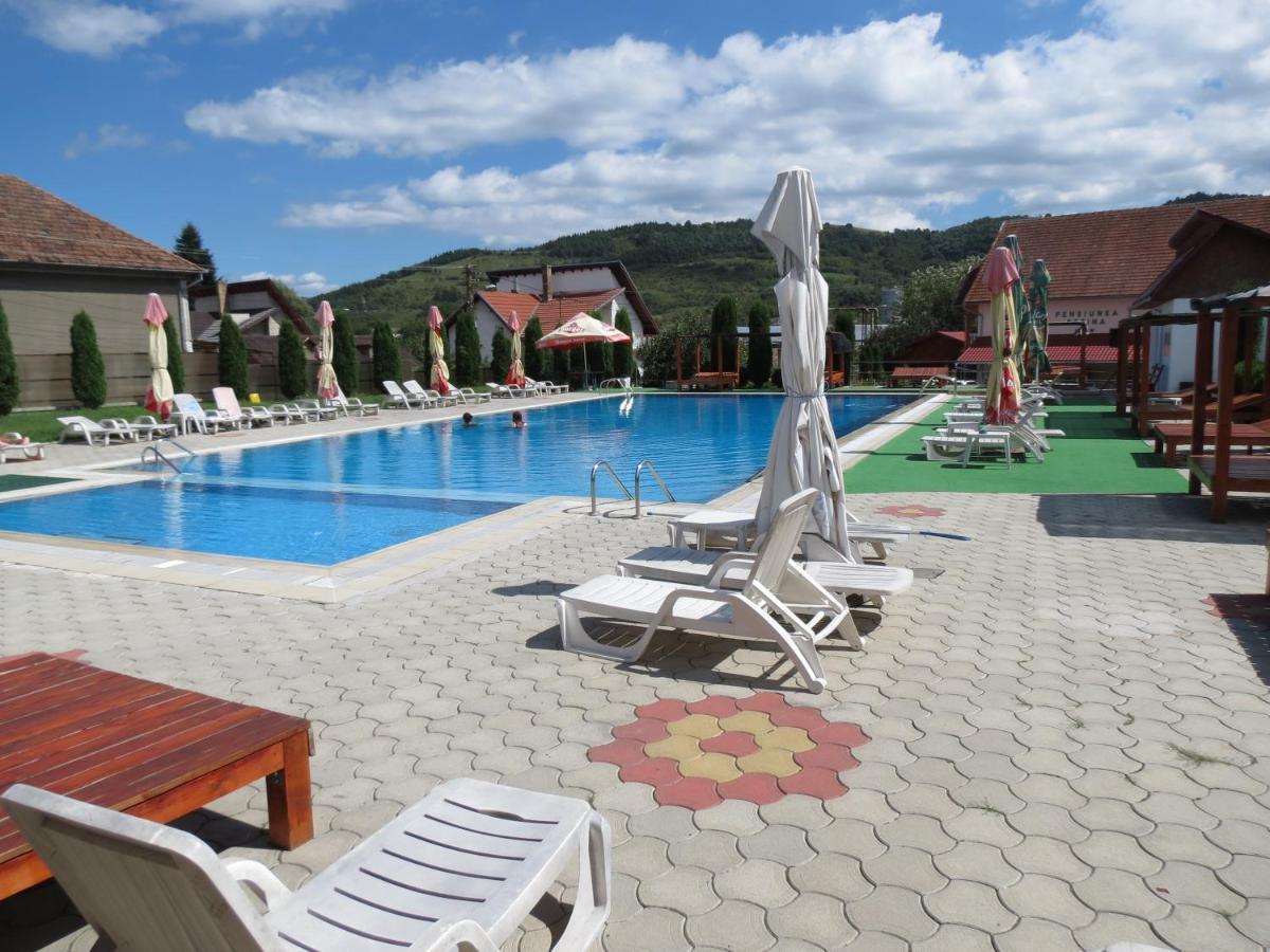 Pensiunea Cetina Brad  Bagian luar foto