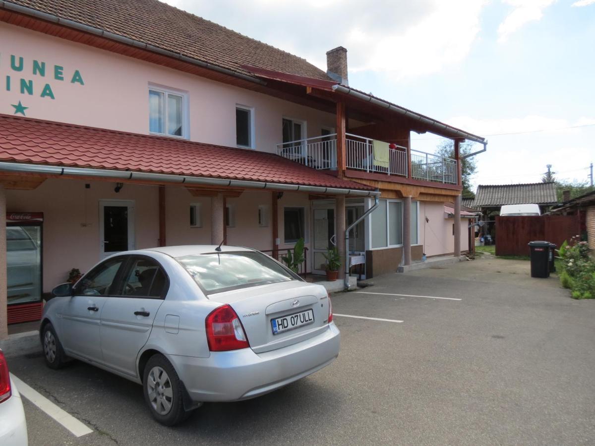 Pensiunea Cetina Brad  Bagian luar foto