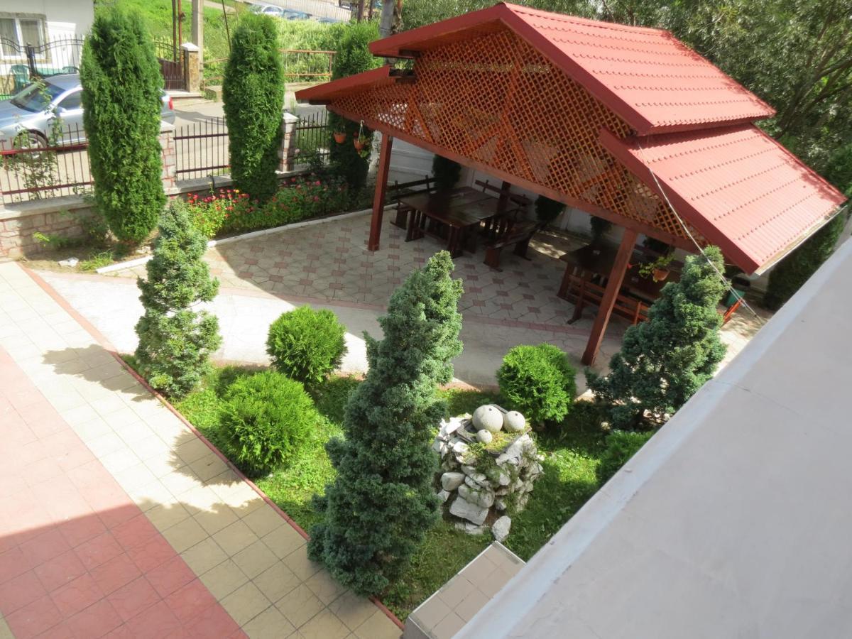 Pensiunea Cetina Brad  Bagian luar foto