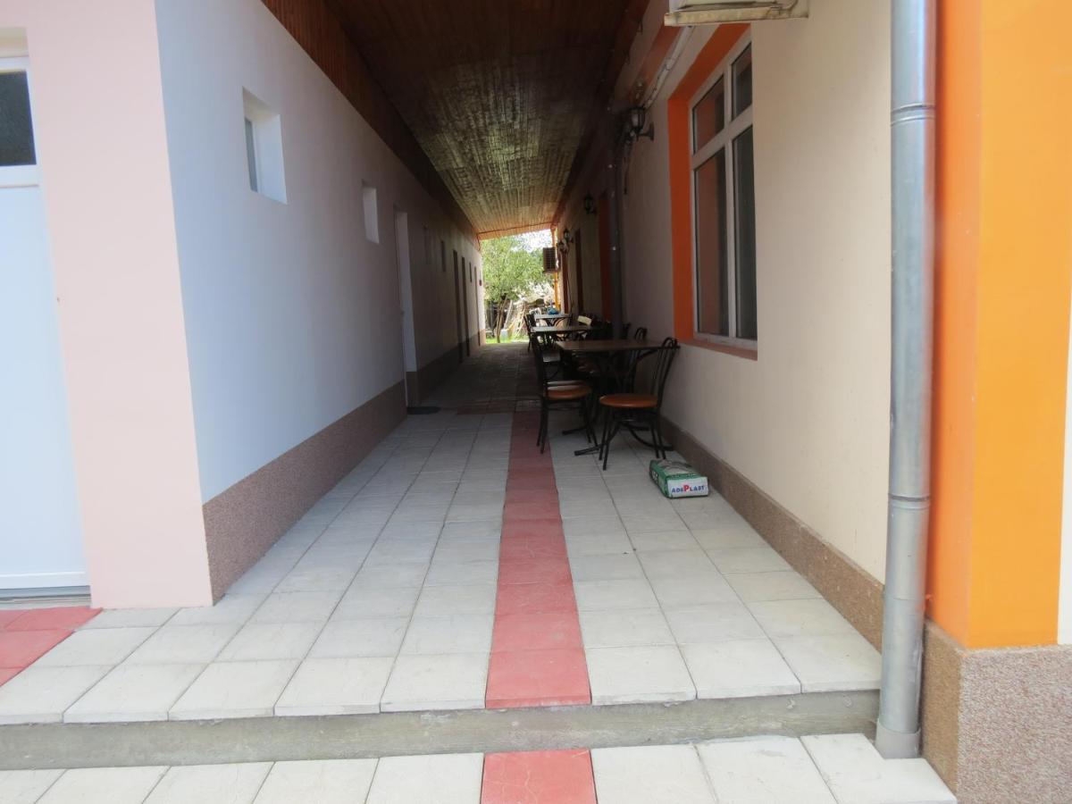 Pensiunea Cetina Brad  Bagian luar foto