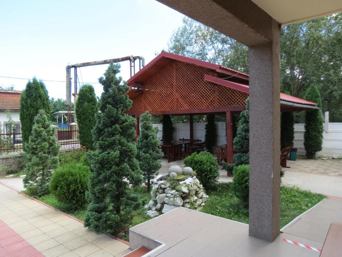 Pensiunea Cetina Brad  Bagian luar foto