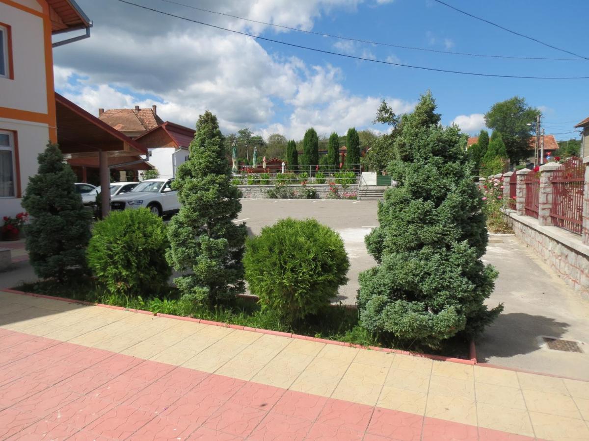 Pensiunea Cetina Brad  Bagian luar foto