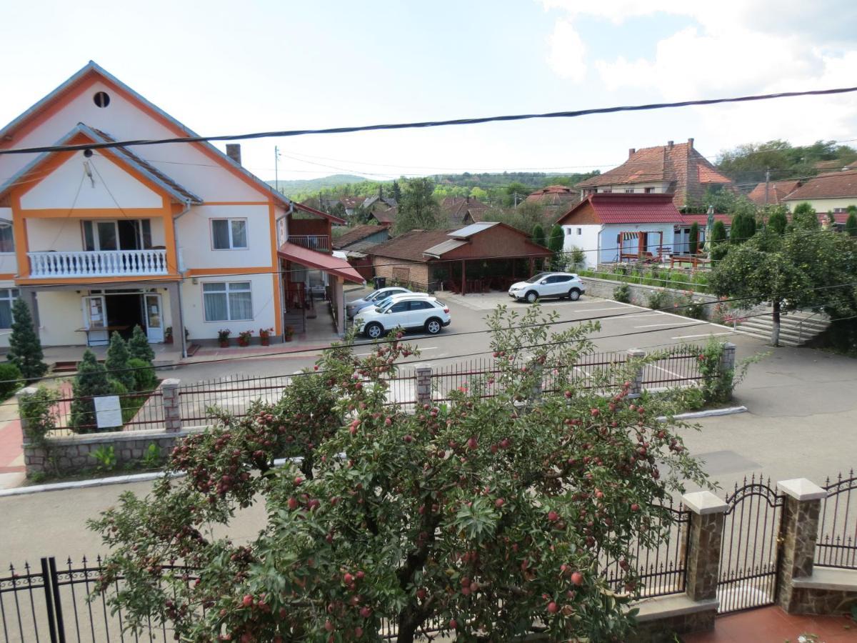 Pensiunea Cetina Brad  Bagian luar foto