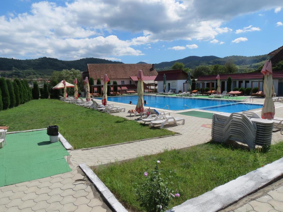 Pensiunea Cetina Brad  Bagian luar foto