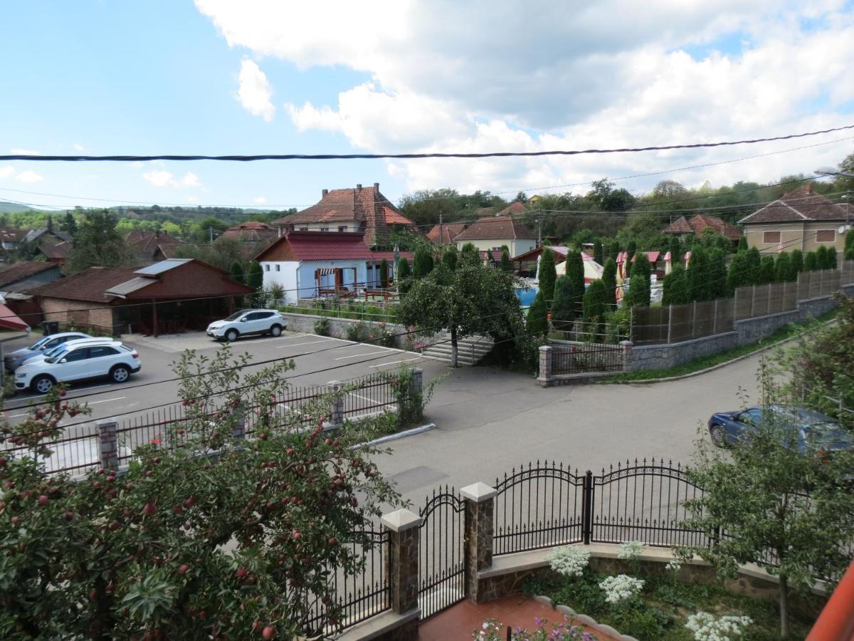 Pensiunea Cetina Brad  Bagian luar foto