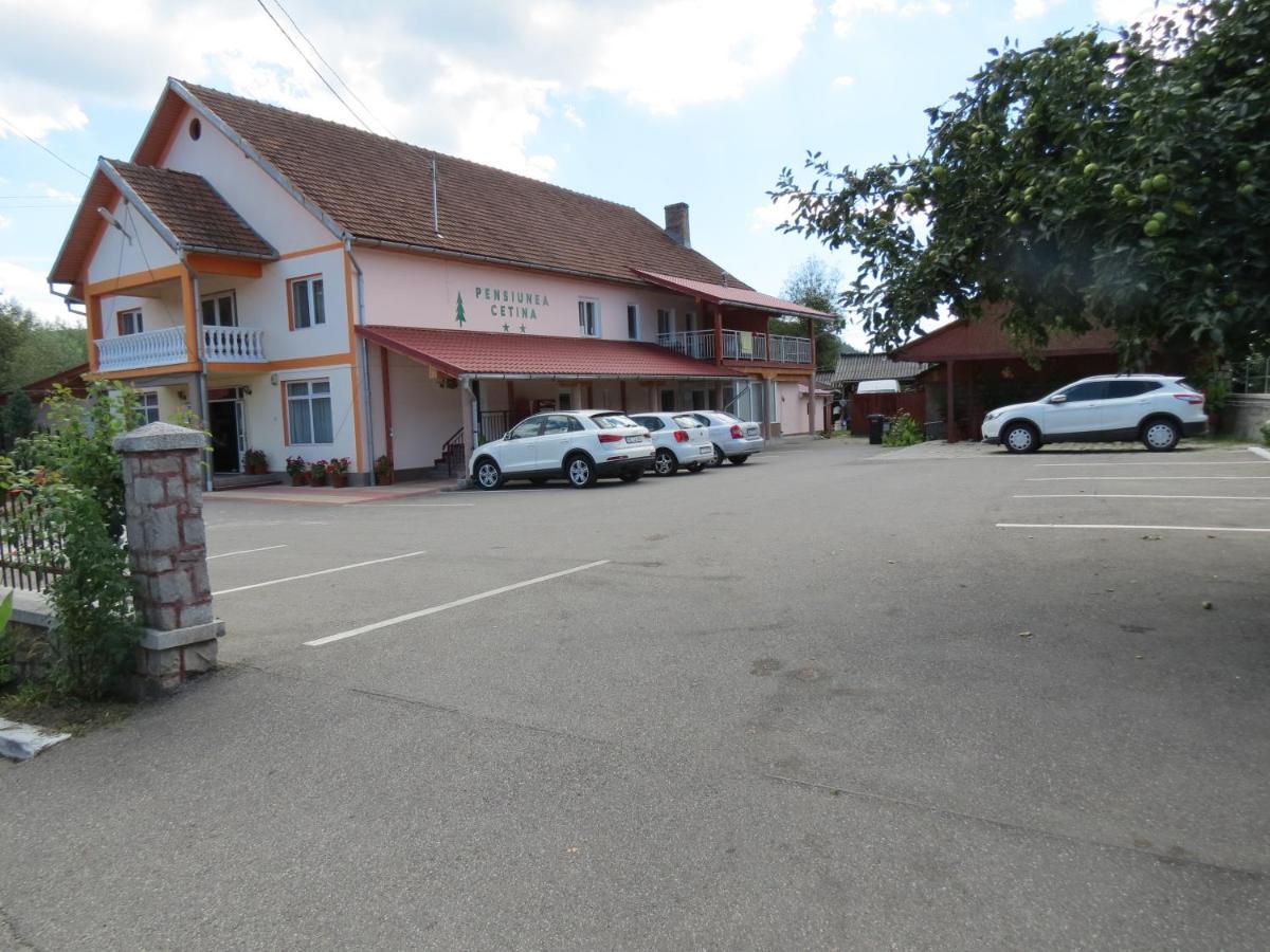 Pensiunea Cetina Brad  Bagian luar foto