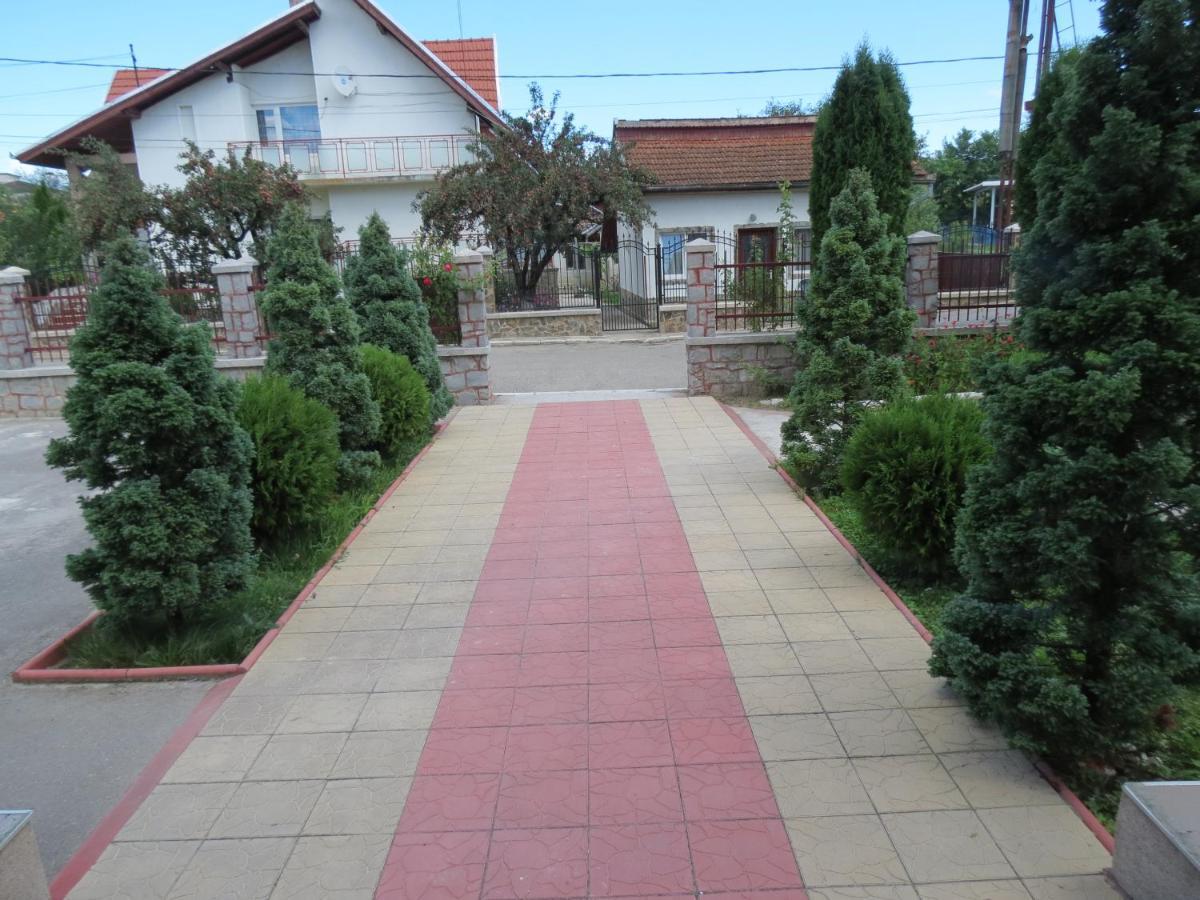 Pensiunea Cetina Brad  Bagian luar foto