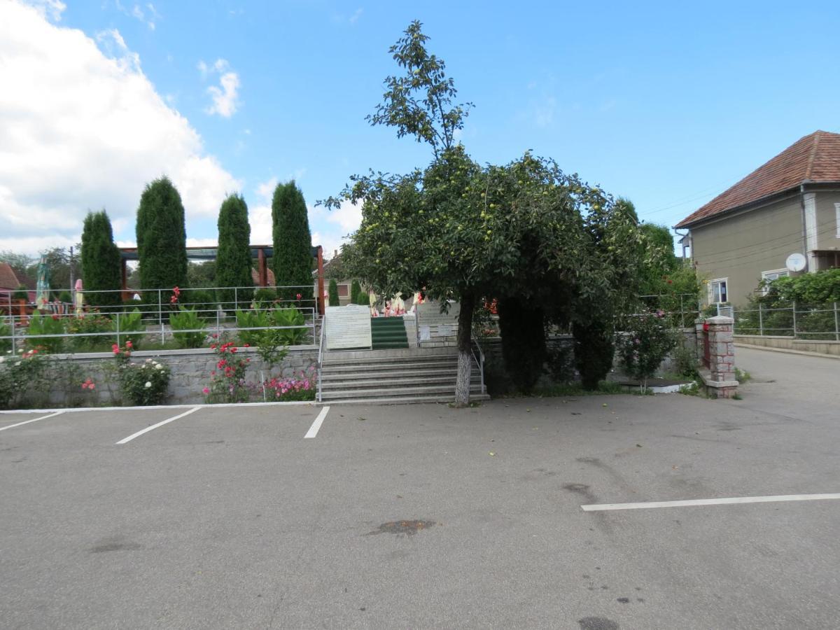 Pensiunea Cetina Brad  Bagian luar foto