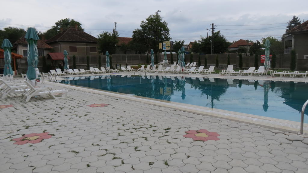 Pensiunea Cetina Brad  Bagian luar foto