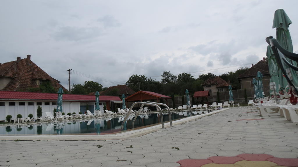 Pensiunea Cetina Brad  Bagian luar foto
