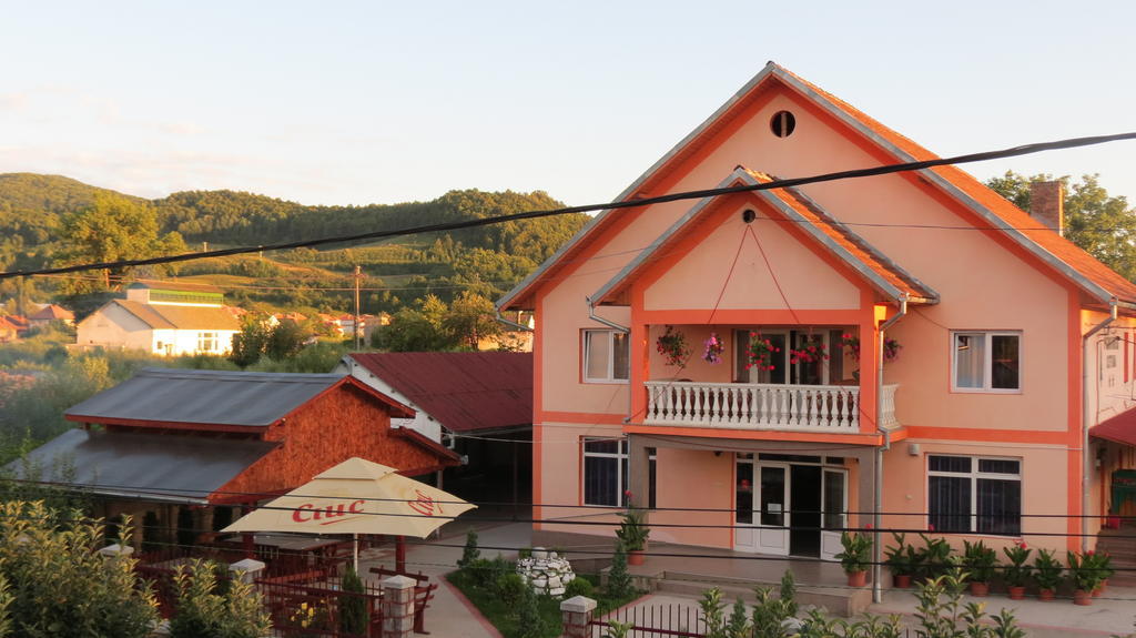 Pensiunea Cetina Brad  Bagian luar foto