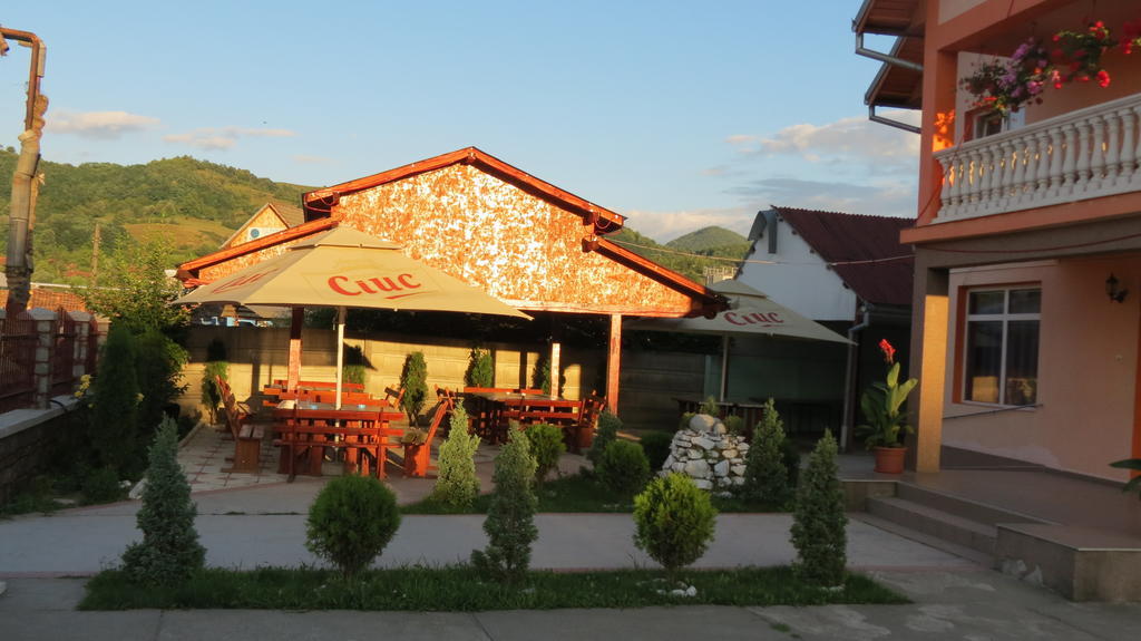 Pensiunea Cetina Brad  Bagian luar foto