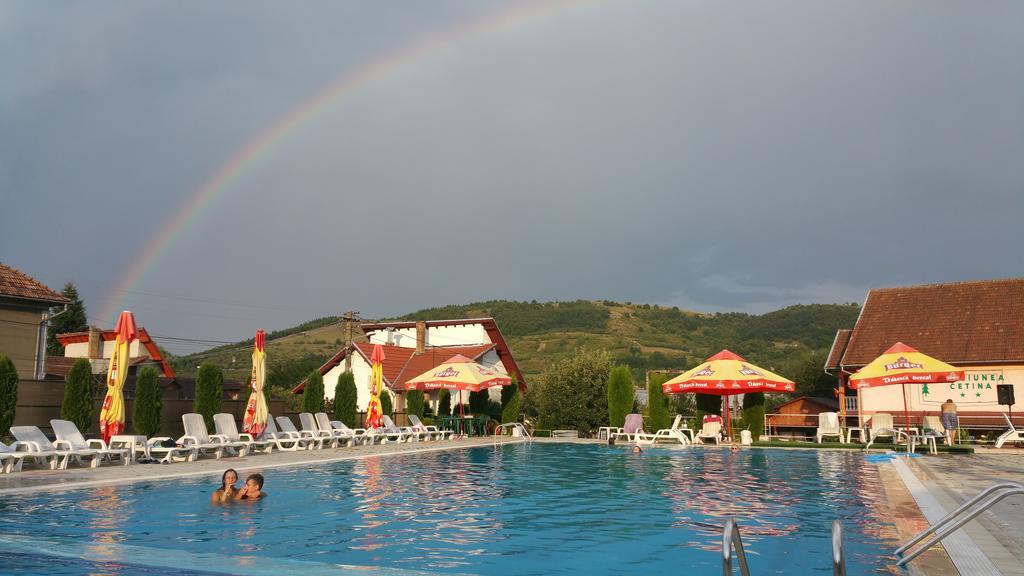 Pensiunea Cetina Brad  Bagian luar foto
